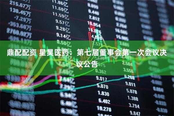 鼎配配资 星昊医药：第七届董事会第一次会议决议公告