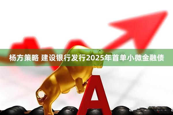 杨方策略 建设银行发行2025年首单小微金融债