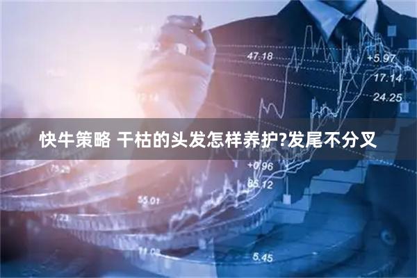 快牛策略 干枯的头发怎样养护?发尾不分叉