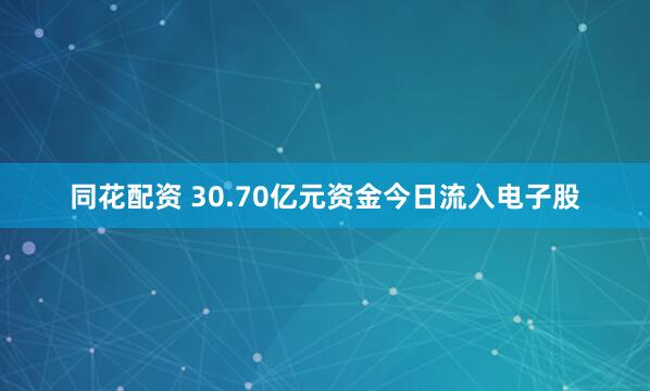 同花配资 30.70亿元资金今日流入电子股