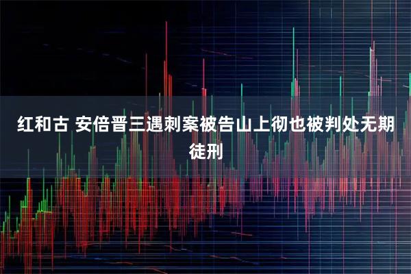 红和古 安倍晋三遇刺案被告山上彻也被判处无期徒刑