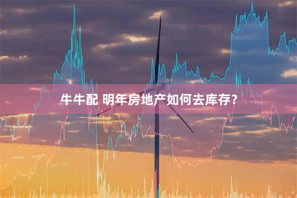 牛牛配 明年房地产如何去库存？
