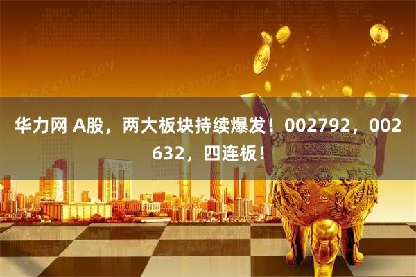 华力网 A股，两大板块持续爆发！002792，002632，四连板！