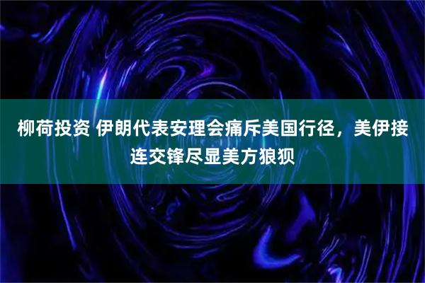 柳荷投资 伊朗代表安理会痛斥美国行径，美伊接连交锋尽显美方狼狈